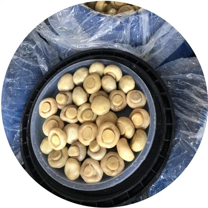 Whole mushroom in brine in drums