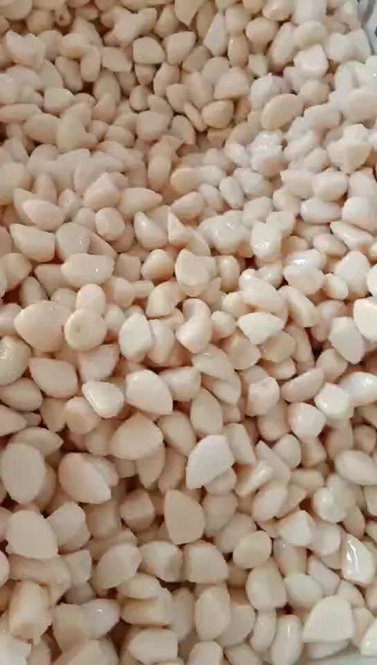 Fresh white garlic in brine in drums