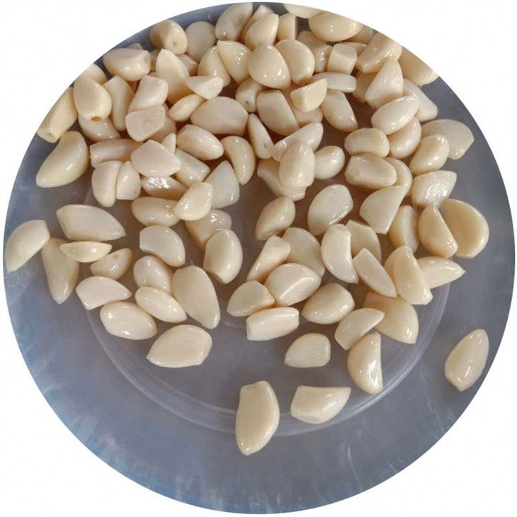 Fresh normal white garlic cloves in brine in drums