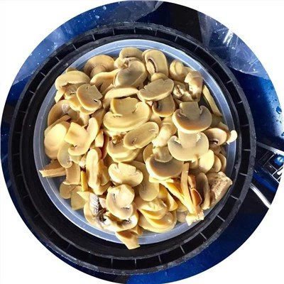 برش های قارچ در آب نمک