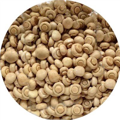 قارچ شامپینون کامل در برین