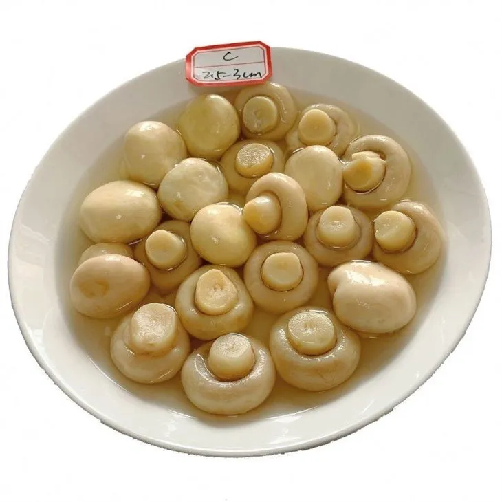 Whole white mushroom in drums in salted water 