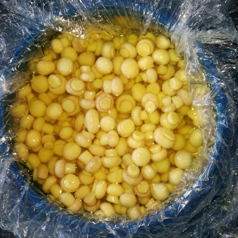 قارچ سفید کامل در طبل