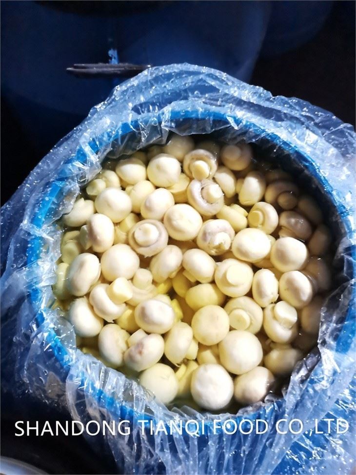 Salted white mushroom in drums With Private Label