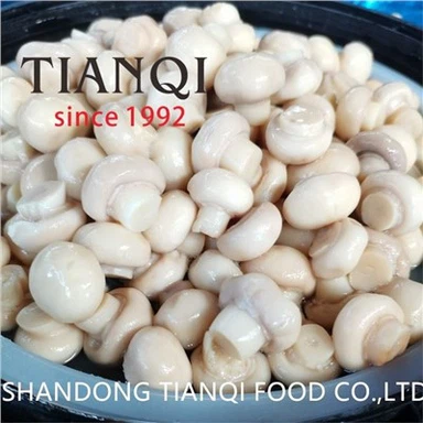 قارچ برش نمک تازه در طبل