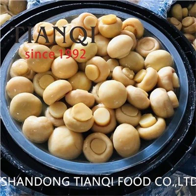 قارچ شامپینیون خرد شده در طبل